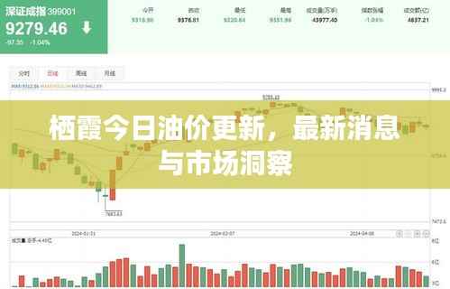 栖霞今日油价更新，最新消息与市场洞察