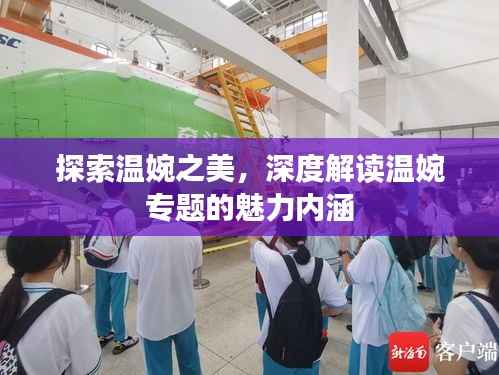 探索温婉之美,深度解读温婉专题的魅力内涵