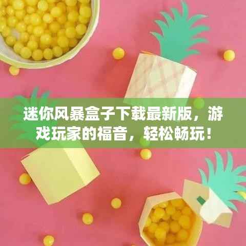 迷你风暴盒子下载最新版，游戏玩家的福音，轻松畅玩！