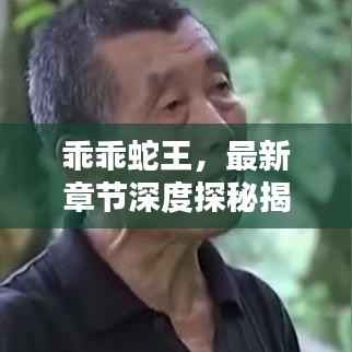 乖乖蛇王，最新章节深度探秘揭秘！