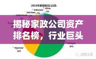 揭秘家政公司资产排名榜，行业巨头及成功秘诀大解密！