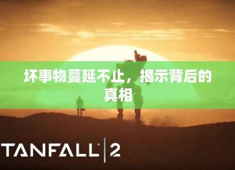 坏事物蔓延不止,揭示背后的真相