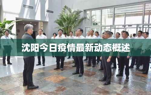 沈阳今日疫情最新动态概述