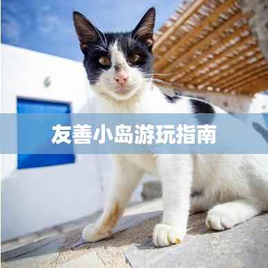 友善小岛游玩指南