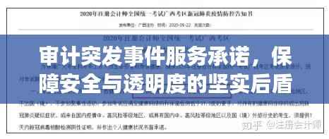 审计突发事件服务承诺，保障安全与透明度的坚实后盾