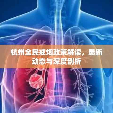 杭州全民戒烟政策解读,最新动态与深度剖析