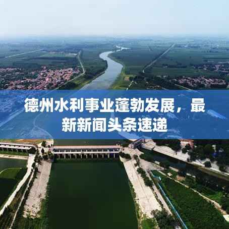德州水利事业蓬勃发展，最新新闻头条速递