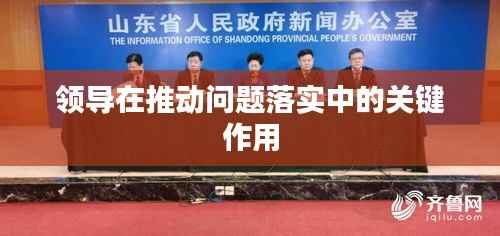 领导在推动问题落实中的关键作用