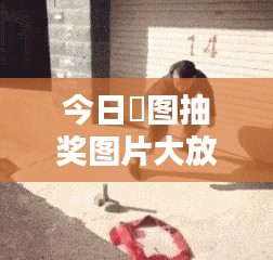 今日囧图抽奖图片大放送，欢乐与惊喜的瞬间，快来一探究竟！