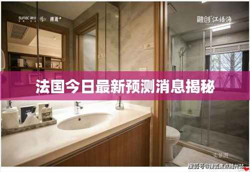 法国今日最新预测消息揭秘
