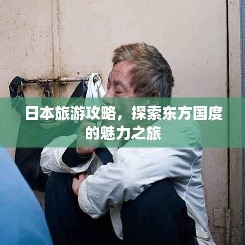 日本旅游攻略，探索东方国度的魅力之旅