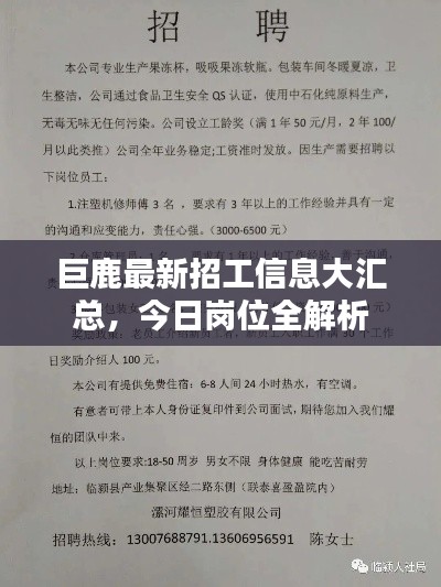 巨鹿最新招工信息大汇总，今日岗位全解析