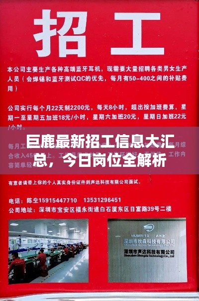 巨鹿最新招工信息大汇总,今日岗位全解析