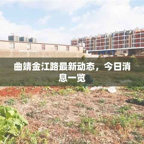 曲靖金江路最新动态，今日消息一览
