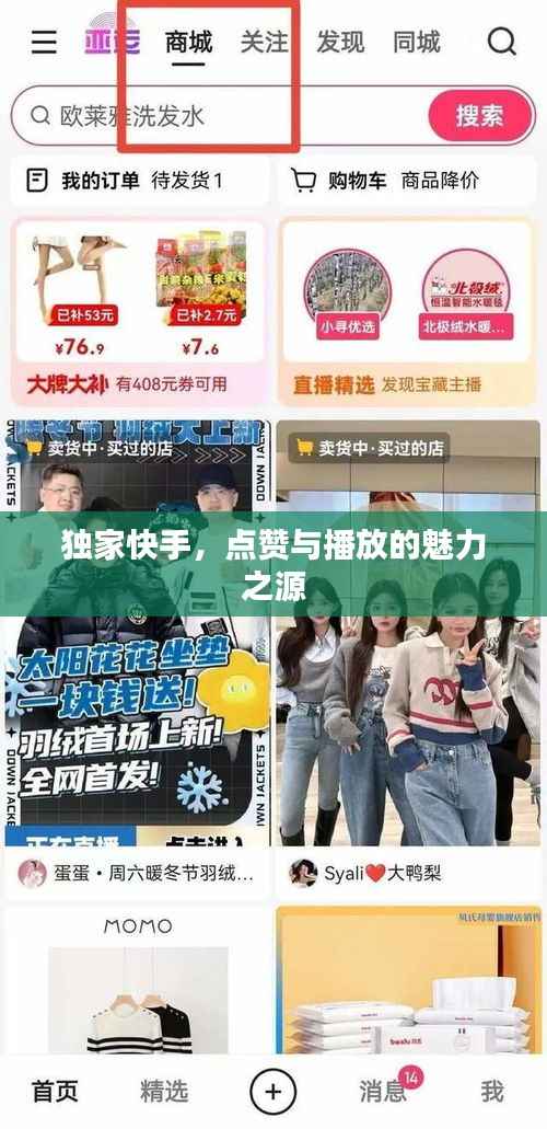 独家快手，点赞与播放的魅力之源