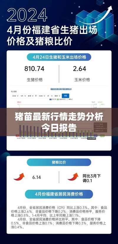 猪苗最新行情走势分析今日报告