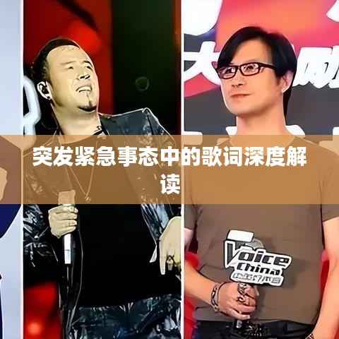 突发紧急事态中的歌词深度解读