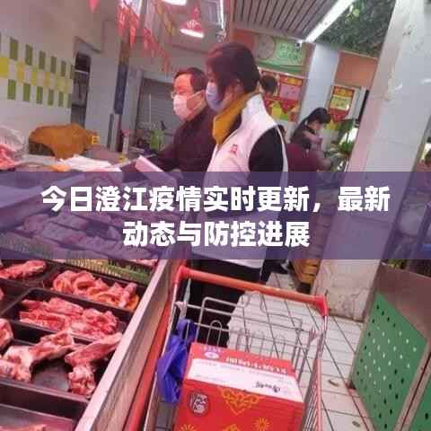 今日澄江疫情实时更新,最新动态与防控进展