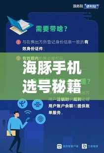 海豚手机选号秘籍，最新攻略指南助你轻松选号！
