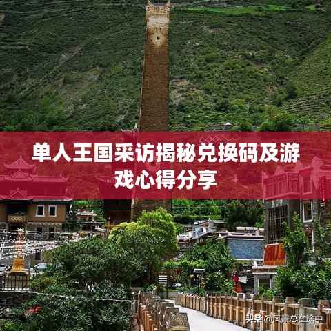 单人王国采访揭秘兑换码及游戏心得分享