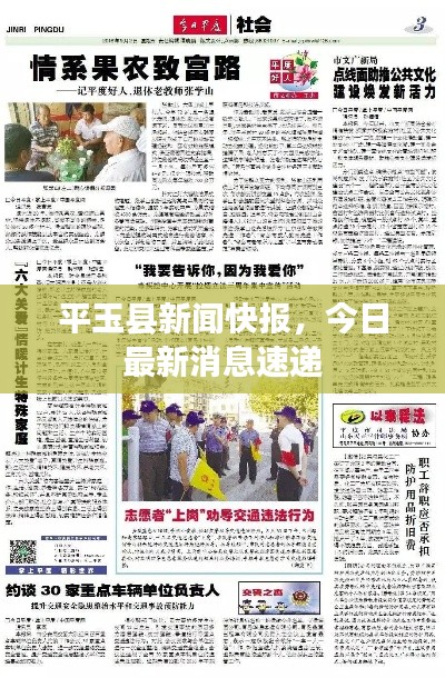 平玉县新闻快报，今日最新消息速递