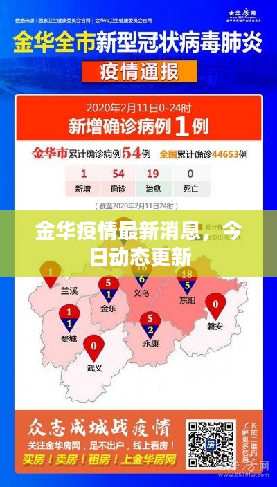 金华疫情最新消息，今日动态更新