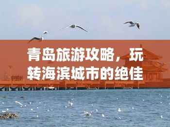 青岛旅游攻略,玩转海滨城市的绝佳攻略!