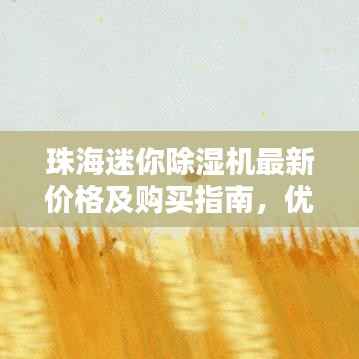 珠海迷你除湿机最新价格及购买指南，优惠折扣一网打尽！