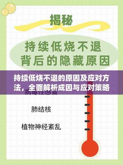 持续低烧不退的原因及应对方法，全面解析成因与应对策略