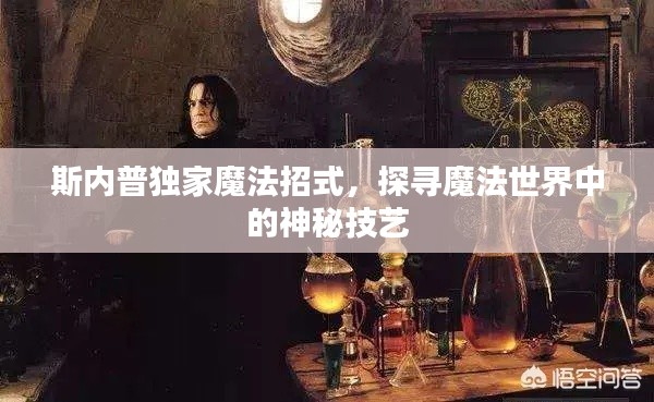 斯内普独家魔法招式,探寻魔法世界中的神秘技艺