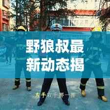 野狼叔最新动态揭秘，今日头条独家消息！