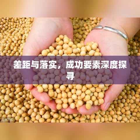 差距与落实，成功要素深度探寻