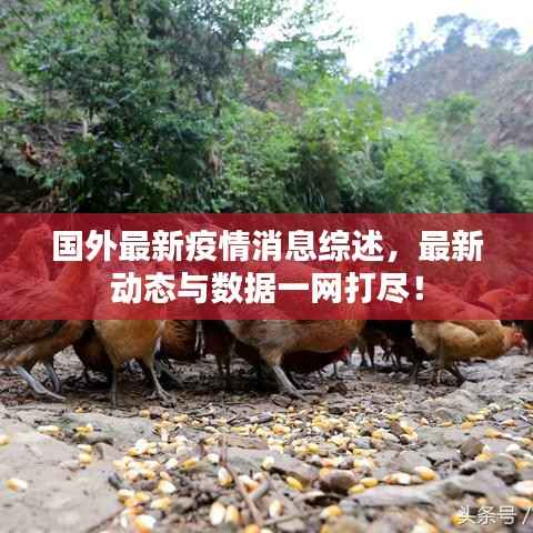 国外最新疫情消息综述,最新动态与数据一网打尽!