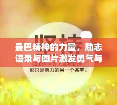 曼巴精神的力量，励志语录与图片激发勇气与决心