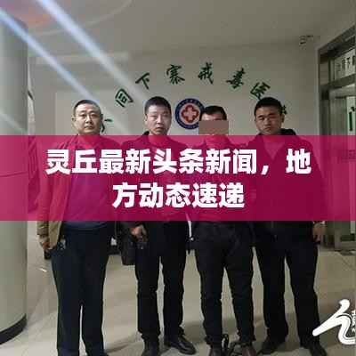 灵丘最新头条新闻，地方动态速递