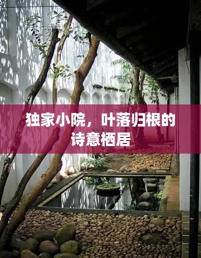 独家小院，叶落归根的诗意栖居
