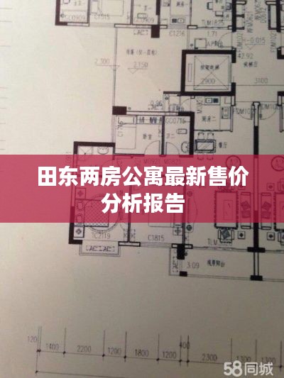田东两房公寓最新售价分析报告