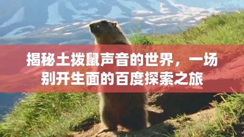 揭秘土拨鼠声音的世界，一场别开生面的百度探索之旅