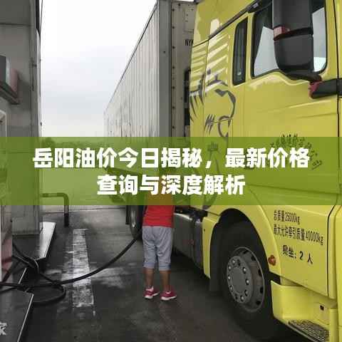 岳阳油价今日揭秘，最新价格查询与深度解析
