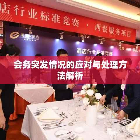 会务突发情况的应对与处理方法解析