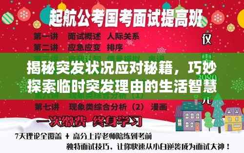 揭秘突发状况应对秘籍，巧妙探索临时突发理由的生活智慧