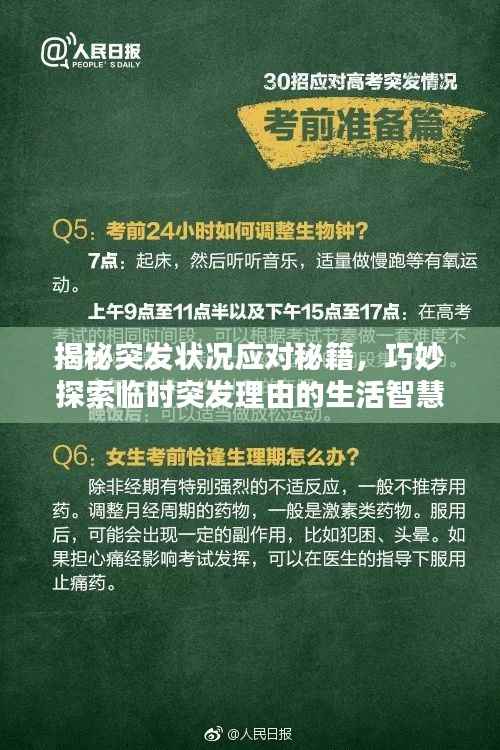 揭秘突发状况应对秘籍,巧妙探索临时突发理由的生活智慧