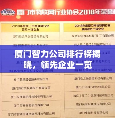 厦门智力公司排行榜揭晓，领先企业一览