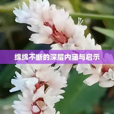 绵绵不断的深层内涵与启示