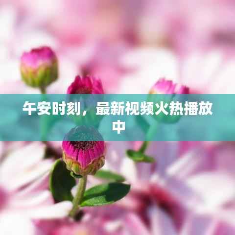 午安时刻,最新视频火热播放中