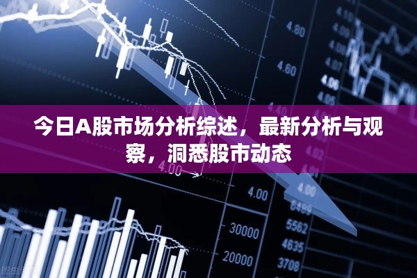 今日A股市场分析综述，最新分析与观察，洞悉股市动态