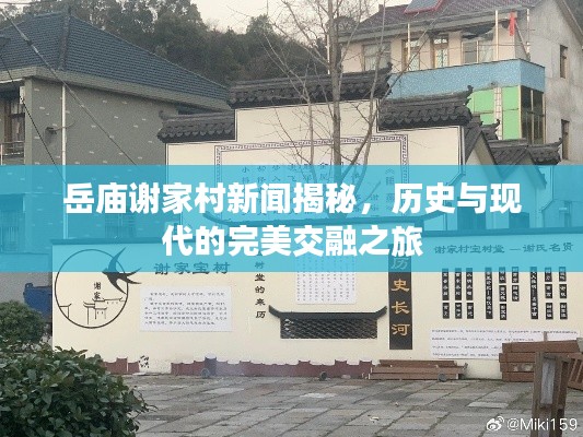 岳庙谢家村新闻揭秘，历史与现代的完美交融之旅