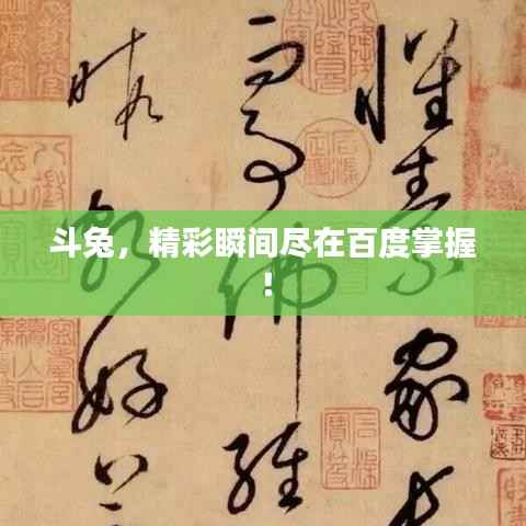 斗兔，精彩瞬间尽在百度掌握！