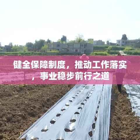 健全保障制度，推动工作落实，事业稳步前行之道