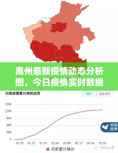 禹州最新疫情动态分析图，今日疫情实时数据更新